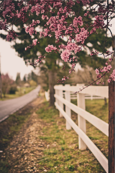 Πως θα καταλάβω αν μου ταιριάζει η ύπνωση